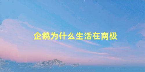 企鹅为什么生活在南极