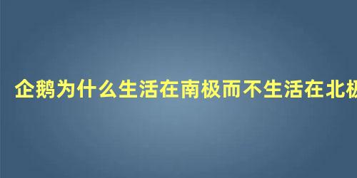 企鹅为什么生活在南极而不生活在北极