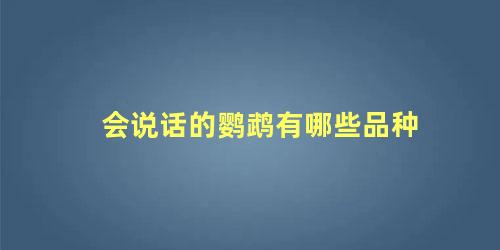 会说话的鹦鹉有哪些品种
