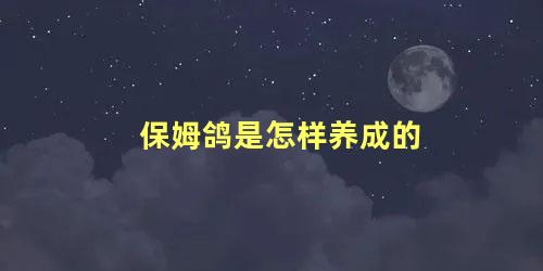 保姆鸽是怎样养成的