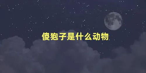 傻狍子是什么动物