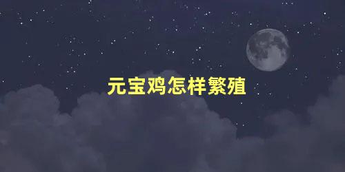 元宝鸡怎样繁殖