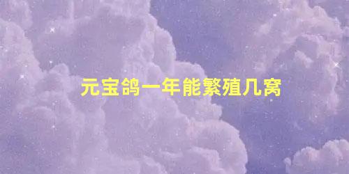 元宝鸽一年能繁殖几窝