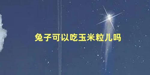 兔子可以吃玉米粒儿吗