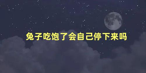 兔子吃饱了会自己停下来吗