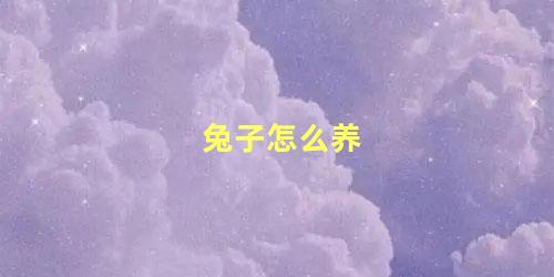 兔子怎么养