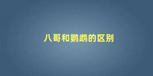 八哥和鹦鹉的区别
