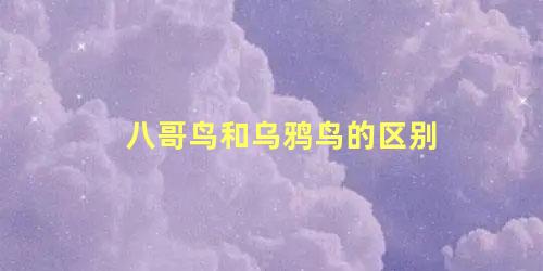 八哥鸟和乌鸦鸟的区别