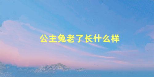 公主兔老了长什么样