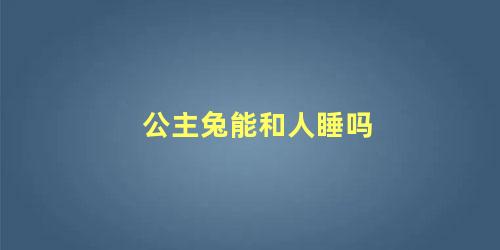 公主兔能和人睡吗