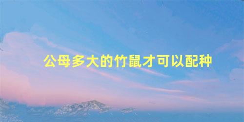 公母多大的竹鼠才可以配种