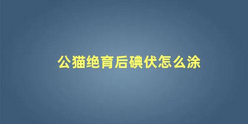 公猫绝育后碘伏怎么涂