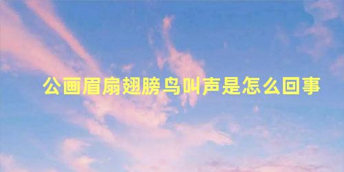 公画眉扇翅膀鸟叫声是怎么回事