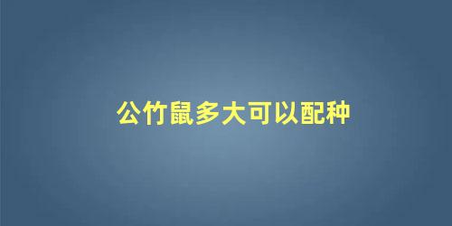 公竹鼠多大可以配种