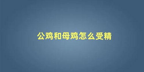 公鸡和母鸡怎么受精