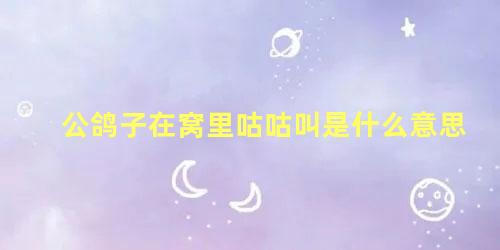 公鸽子在窝里咕咕叫是什么意思