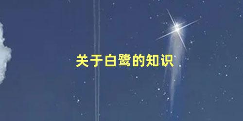 关于白鹭的知识