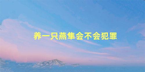 养一只燕隼会不会犯罪