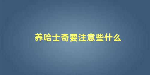 养哈士奇要注意些什么