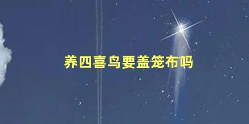 养四喜鸟要盖笼布吗