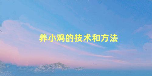 养小鸡的技术和方法