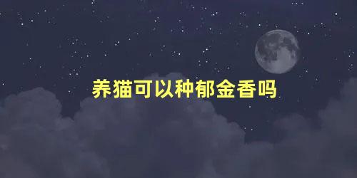养猫可以种郁金香吗
