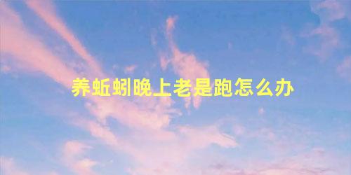 养蚯蚓晚上老是跑怎么办