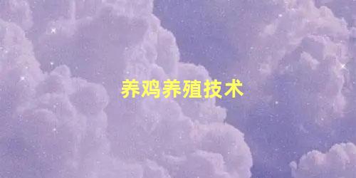 养鸡养殖技术