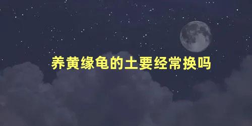 养黄缘龟的土要经常换吗
