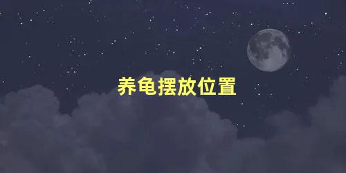 养龟摆放位置