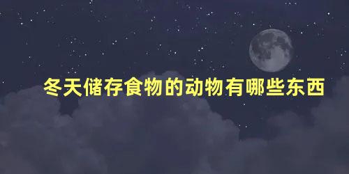 冬天储存食物的动物有哪些东西