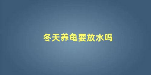 冬天养龟要放水吗