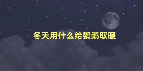 冬天用什么给鹦鹉取暖