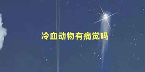 冷血动物有痛觉吗