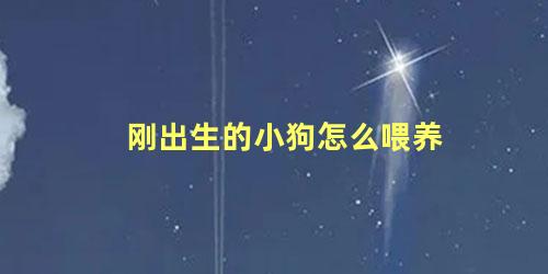 刚出生的小狗怎么喂养
