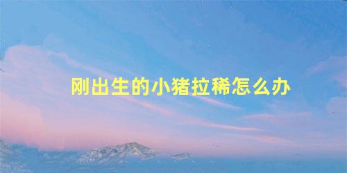 刚出生的小猪拉稀怎么办