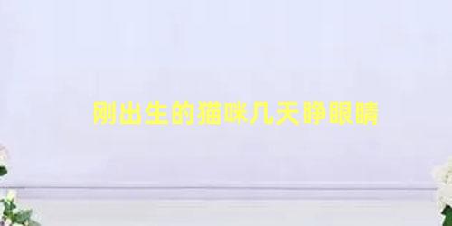 刚出生的猫咪几天睁眼睛