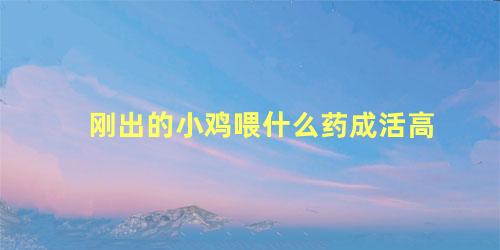 刚出的小鸡喂什么药成活高