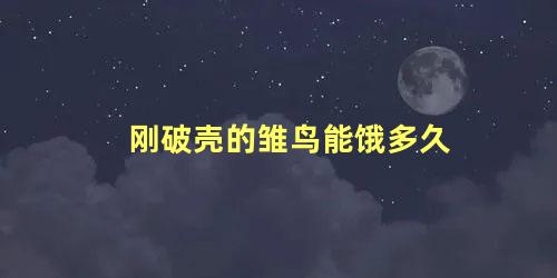 刚破壳的雏鸟能饿多久