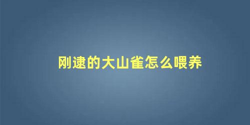 刚逮的大山雀怎么喂养