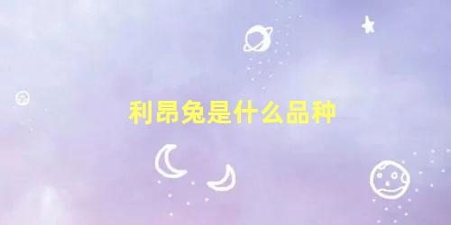 利昂兔是什么品种