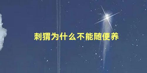 刺猬为什么不能随便养