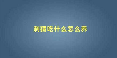 刺猬吃什么怎么养