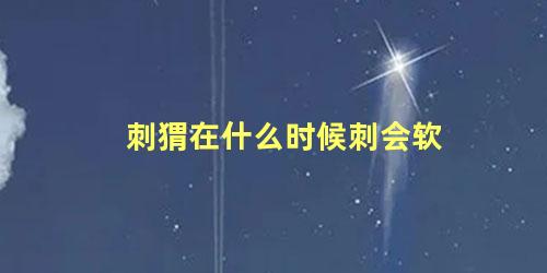 刺猬在什么时候刺会软