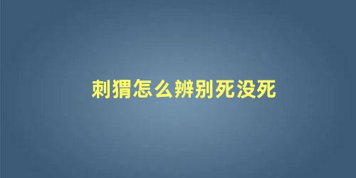 刺猬怎么辨别死没死