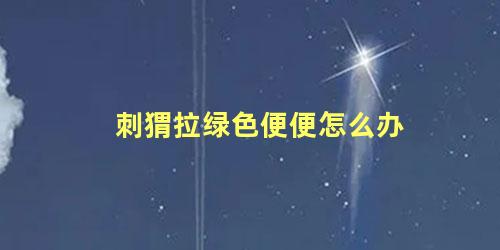 刺猬拉绿色便便怎么办