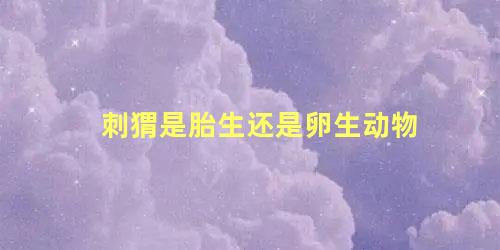 刺猬是胎生还是卵生动物