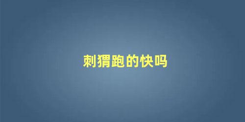 刺猬跑的快吗