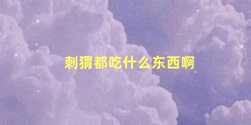 刺猬都吃什么东西啊