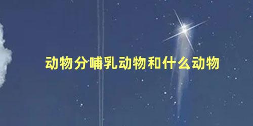 动物分哺乳动物和什么动物